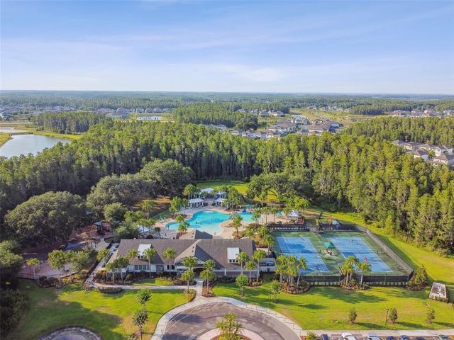 19325 HAWK VALLEY DRIVE, Tampa, FL 33647