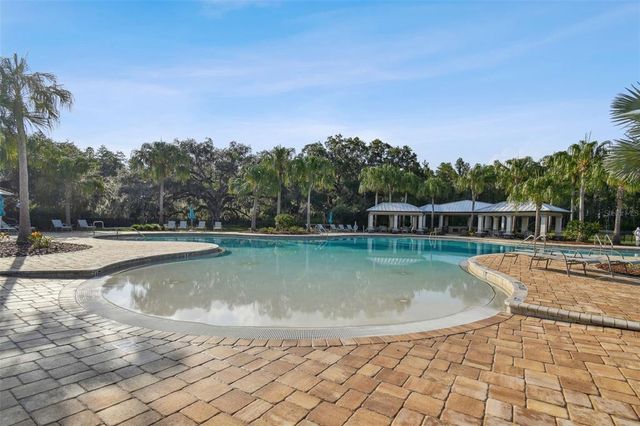 19325 HAWK VALLEY DRIVE, Tampa, FL 33647