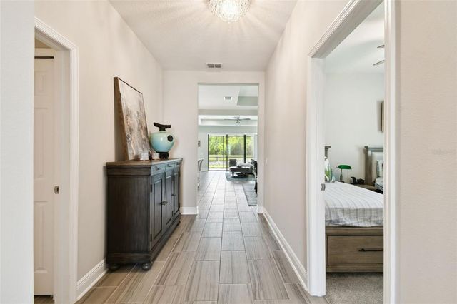 19325 HAWK VALLEY DRIVE, Tampa, FL 33647