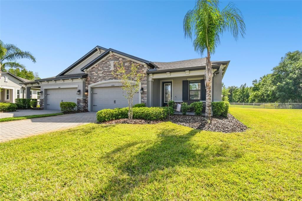 19325 HAWK VALLEY DRIVE, Tampa, FL 33647
