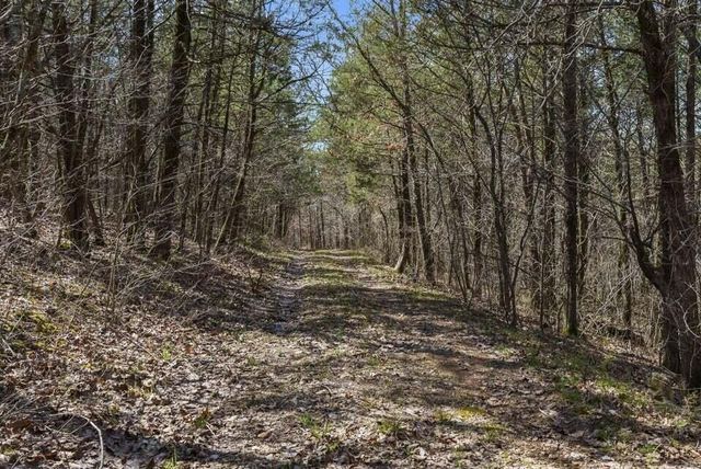 27497 Old Pace Lane, Shell Knob, MO 65747