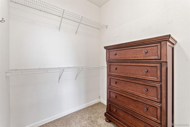 4408 Applecrest Circle, Castle Rock, CO 80109