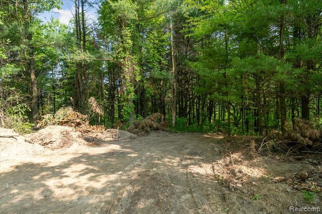 5 Donna, Dryden, MI 48428