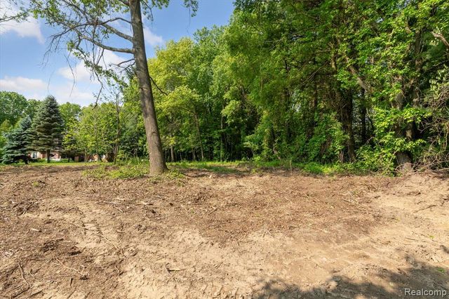 5 Donna, Dryden, MI 48428