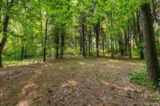 5 Donna, Dryden, MI 48428