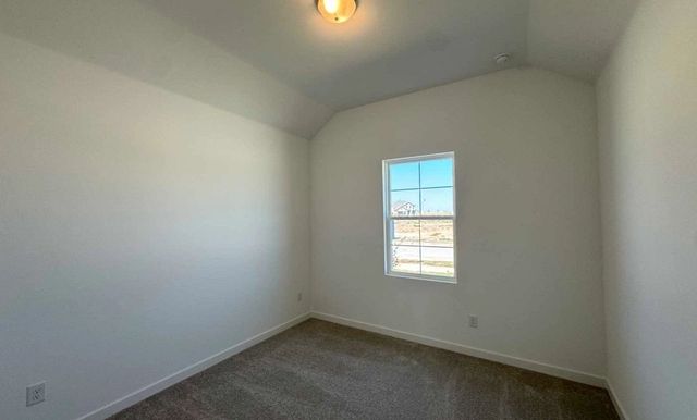 712 Tyronza Drive, Justin, TX 76247