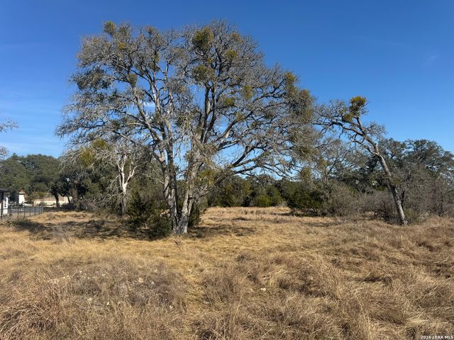 223 George Dolson, Blanco, TX 78606