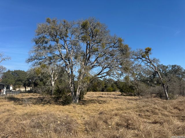 223 George Dolson, Blanco, TX 78606