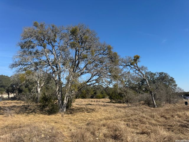 223 George Dolson, Blanco, TX 78606