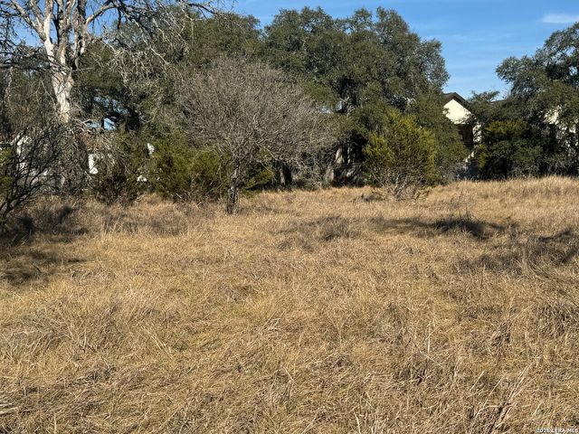 223 George Dolson, Blanco, TX 78606