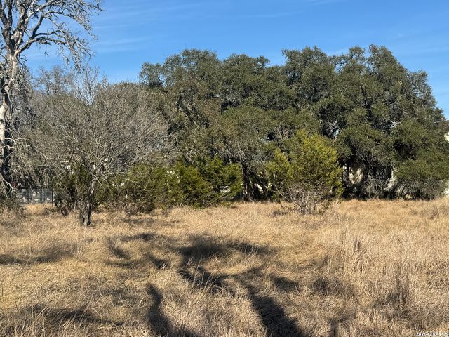 223 George Dolson, Blanco, TX 78606