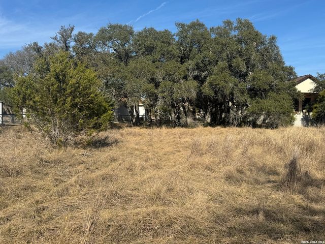 223 George Dolson, Blanco, TX 78606