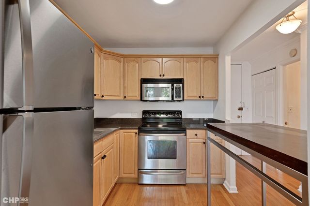 1660 N La Salle Drive 204, Chicago, IL 60614