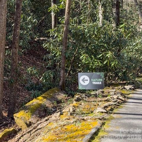 1270 Glen Cannon Drive, Pisgah Forest, NC 28768