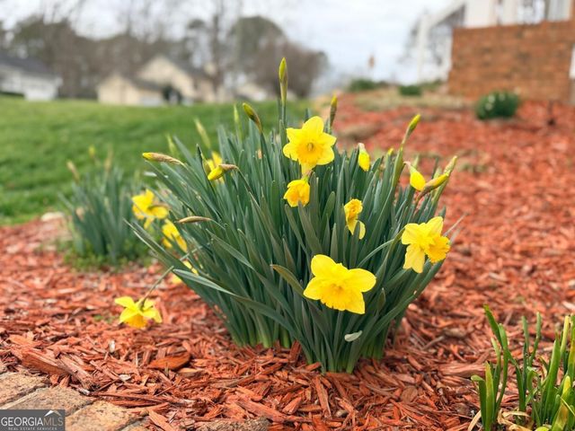 2001 Two Springs Way, Lawrenceville, GA 30043