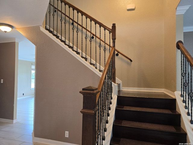 11663 Cardinal Sky, San Antonio, TX 78245
