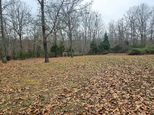 6163 Us Highway 60, Mountain View, MO 65548