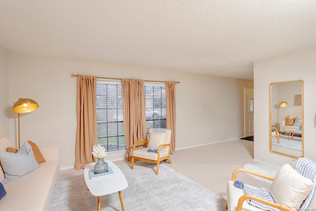 13718 PEBBLE POINT DR, San Antonio, TX 78231