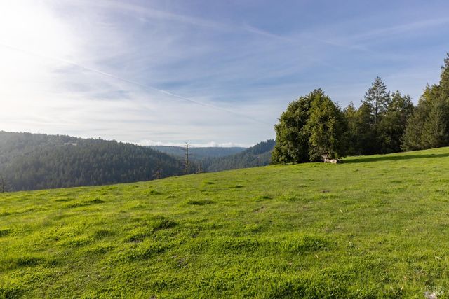 38555 Hauser Bridge Rd, Cazadero, CA 95421