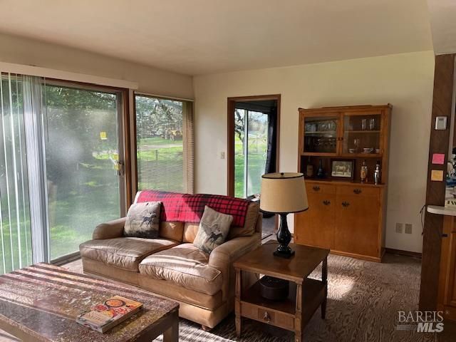 38555 Hauser Bridge Rd, Cazadero, CA 95421