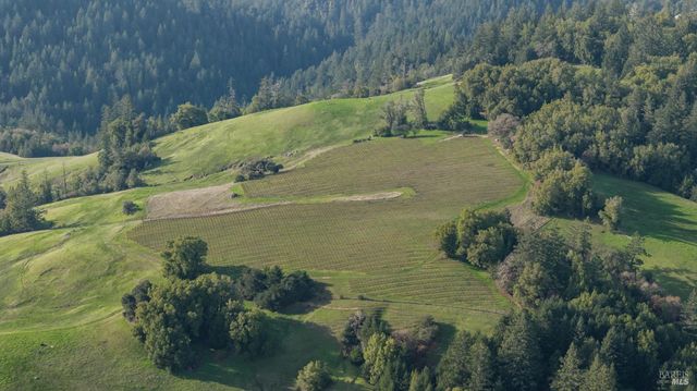 38555 Hauser Bridge Rd, Cazadero, CA 95421