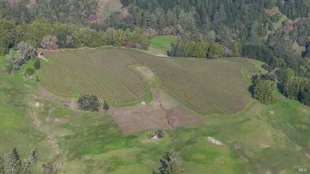 38555 Hauser Bridge Rd, Cazadero, CA 95421