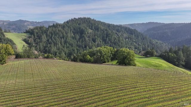 38555 Hauser Bridge Rd, Cazadero, CA 95421