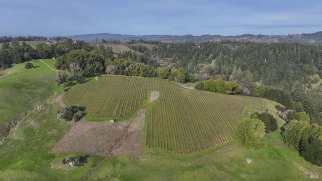 38555 Hauser Bridge Rd, Cazadero, CA 95421