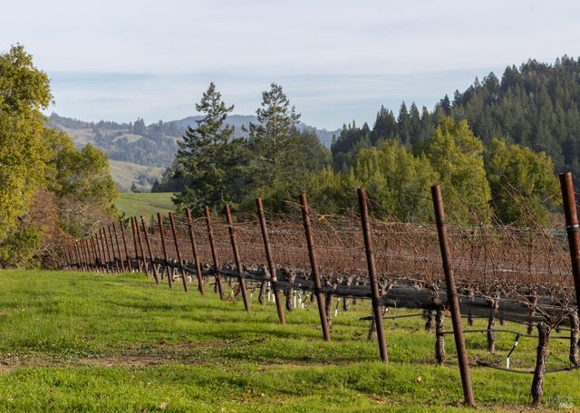 38555 Hauser Bridge Rd, Cazadero, CA 95421