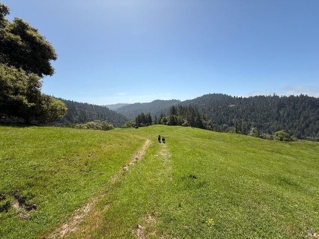 38555 Hauser Bridge Rd, Cazadero, CA 95421