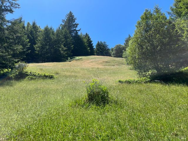 38555 Hauser Bridge Rd, Cazadero, CA 95421