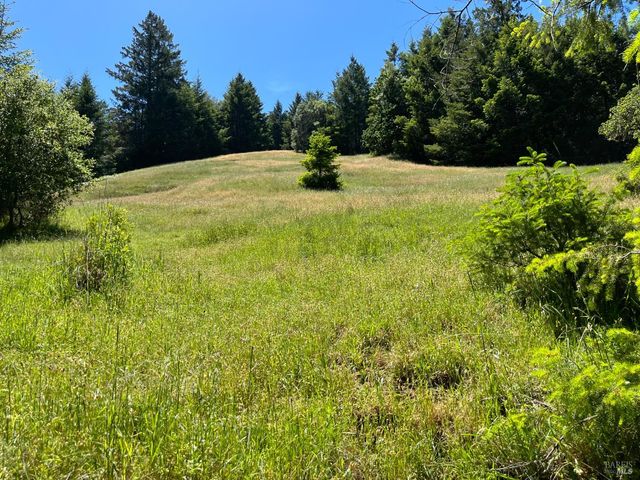 38555 Hauser Bridge Rd, Cazadero, CA 95421