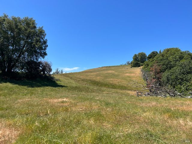 38555 Hauser Bridge Rd, Cazadero, CA 95421