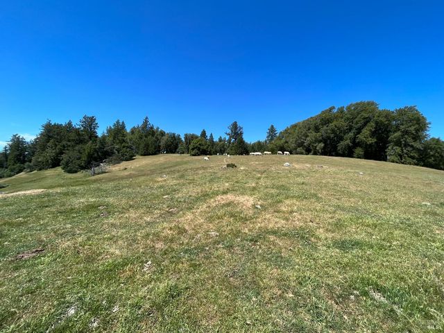 38555 Hauser Bridge Rd, Cazadero, CA 95421