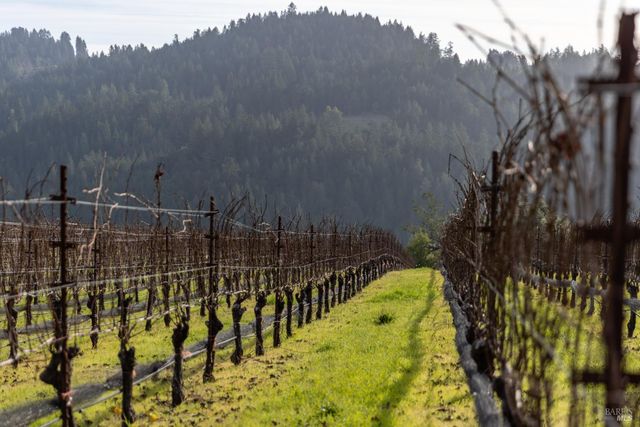 38555 Hauser Bridge Rd, Cazadero, CA 95421