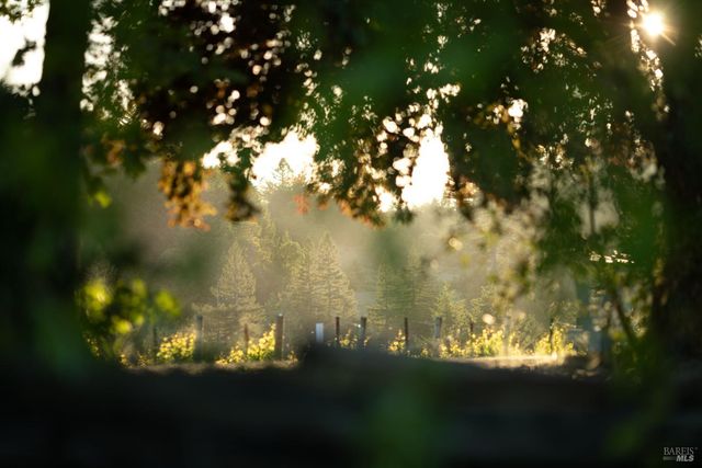 38555 Hauser Bridge Rd, Cazadero, CA 95421