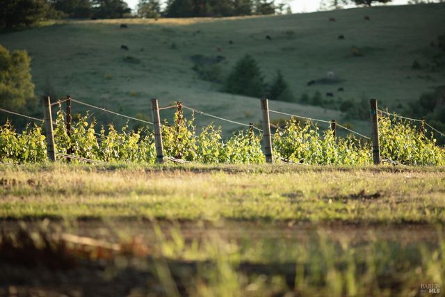 38555 Hauser Bridge Rd, Cazadero, CA 95421