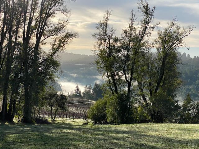 38555 Hauser Bridge Rd, Cazadero, CA 95421