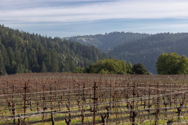 38555 Hauser Bridge Rd, Cazadero, CA 95421