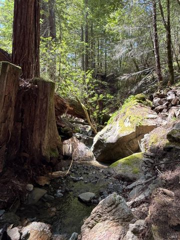 38555 Hauser Bridge Rd, Cazadero, CA 95421