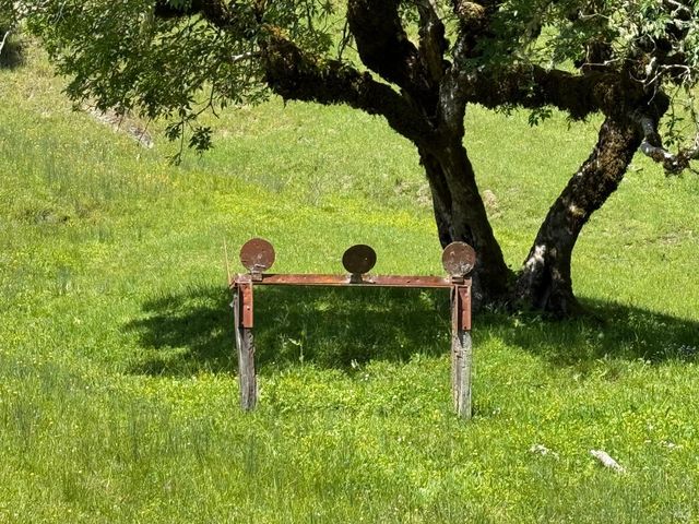 38555 Hauser Bridge Rd, Cazadero, CA 95421