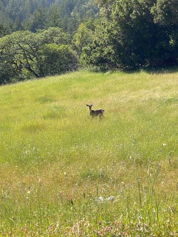 38555 Hauser Bridge Rd, Cazadero, CA 95421