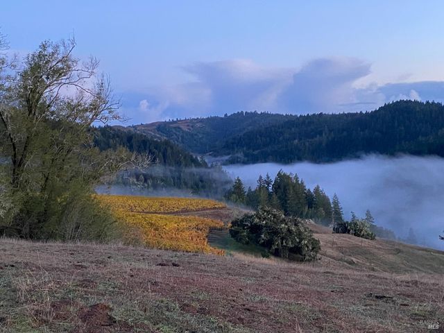 38555 Hauser Bridge Rd, Cazadero, CA 95421