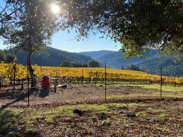 38555 Hauser Bridge Rd, Cazadero, CA 95421