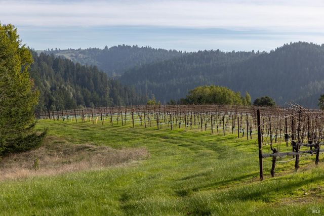 38555 Hauser Bridge Rd, Cazadero, CA 95421