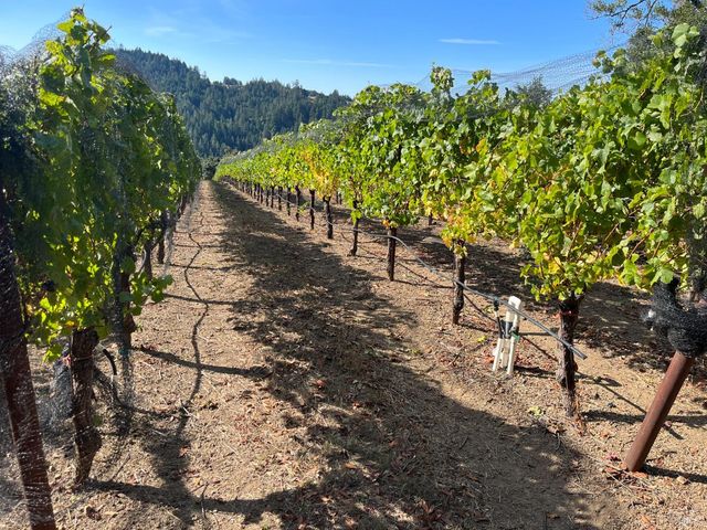 38555 Hauser Bridge Rd, Cazadero, CA 95421