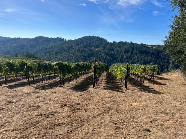 38555 Hauser Bridge Rd, Cazadero, CA 95421