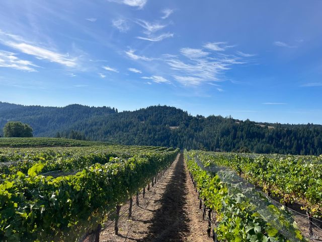 38555 Hauser Bridge Rd, Cazadero, CA 95421