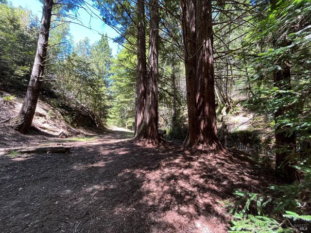 38555 Hauser Bridge Rd, Cazadero, CA 95421