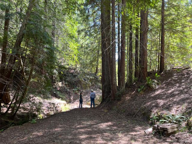 38555 Hauser Bridge Rd, Cazadero, CA 95421